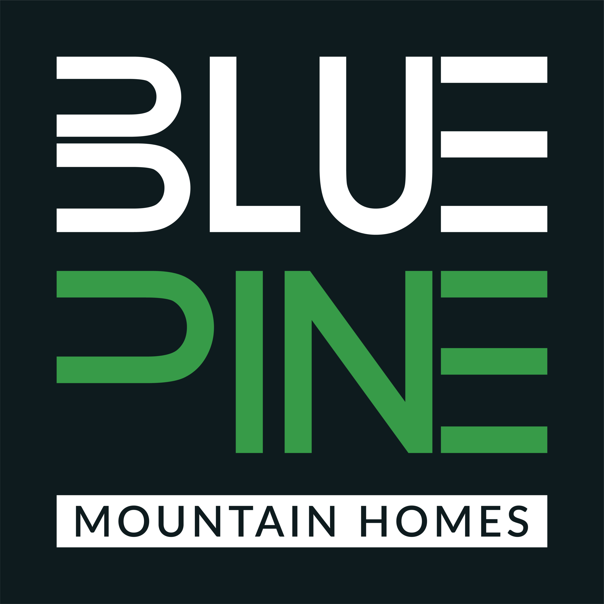 Blue Pine Mountain homes